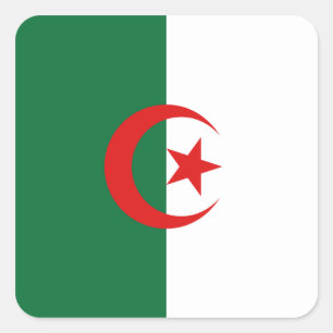 Algerischer Flaggenaufkleber Quadratischer Aufkleber