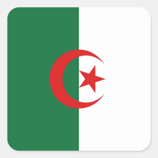 Algerischer Flaggenaufkleber Quadratischer Aufkleber (Vorderseite)