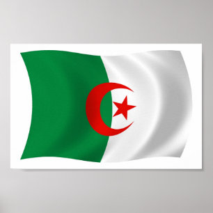 Algerisches Flaggenposter drucken Poster