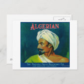 Algerisches Orangenetikett Postkarte (Vorne/Hinten)