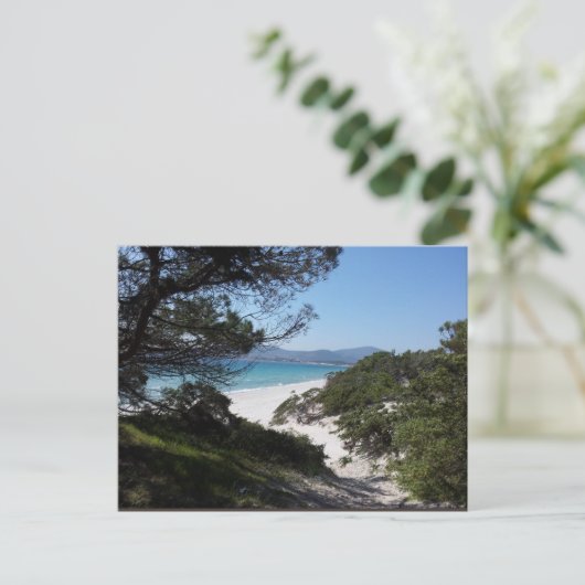 Alghero, Sardinien - Postkarte (Stehend Vorderseite)