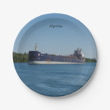 Algolake-Papierplatte