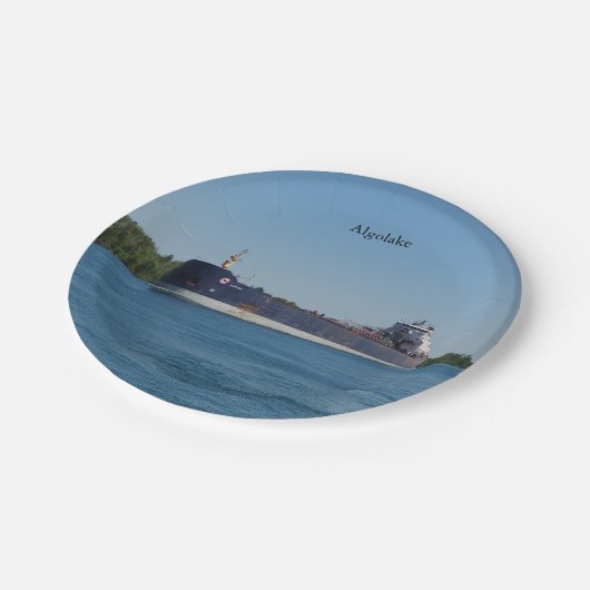 Algolake-Papierplatte Pappteller (Schrägansicht)