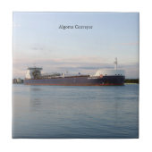 Algoma Conveyor-Fliese Fliese (Vorderseite)