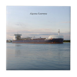 Algoma Conveyor-Fliese Fliese