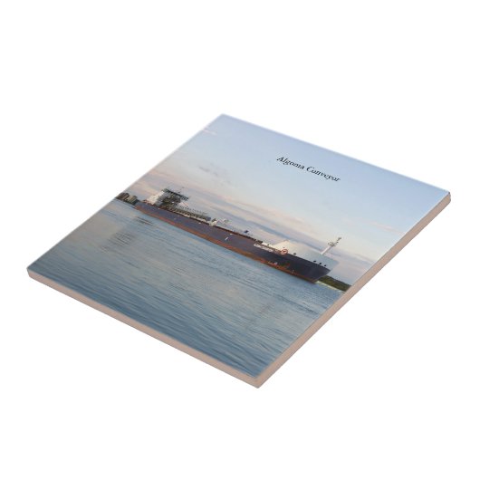 Algoma Conveyor-Fliese Fliese (Seite)