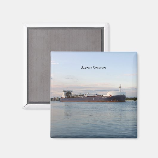 Algoma Conveyor Magnet (Vorderseite/Rückseite)