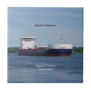 Algoma Equinox tile Fliese