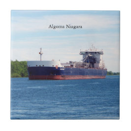 Algoma Niagara tile Fliese