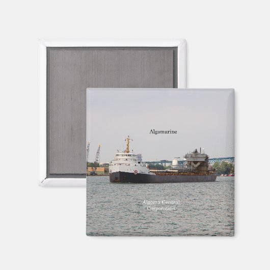 Algomarinmagnet Magnet (Vorderseite/Rückseite)