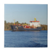 Algonova-Kachel Fliese (Vorderseite)