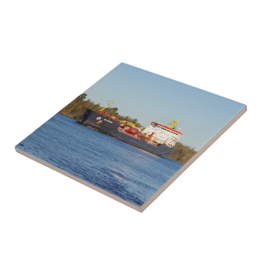 Algonova-Kachel Fliese (Seite)