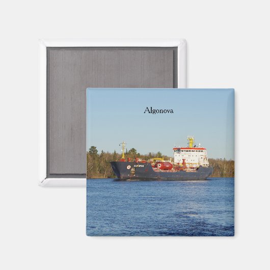 Algonova-Magnet Magnet (Vorderseite/Rückseite)