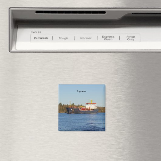 Algonova-Magnet Magnet (In Situ (Geschirrspüler))