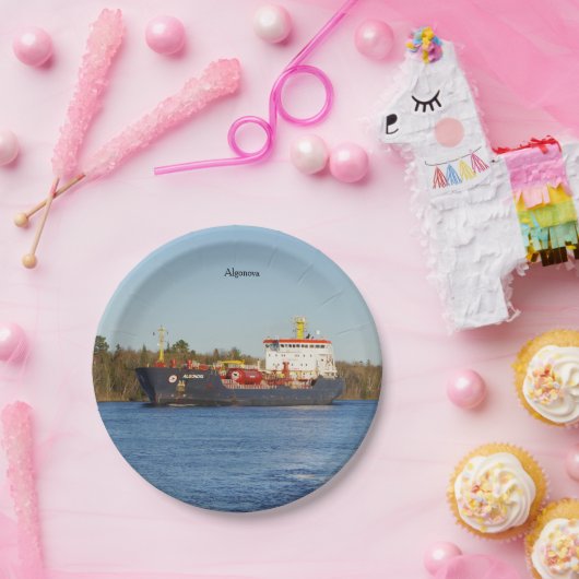 Algonova-Papierplatte Pappteller (Party)