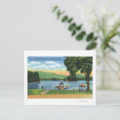 Algonquin Bay View von Buck Mt und Pilot Knob Postkarte (Stehend Vorderseite)