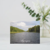 Algonquin Beauty Postkarte (Stehend Vorderseite)