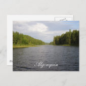 Algonquin Beauty Postkarte (Vorne/Hinten)