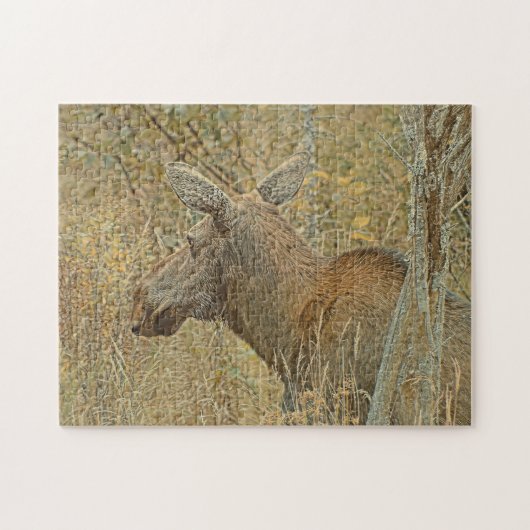 Algonquin-Elch-Puzzle Puzzle (Horizontal)