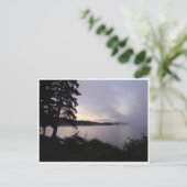 Algonquin Fall Morning Postkarte (Stehend Vorderseite)