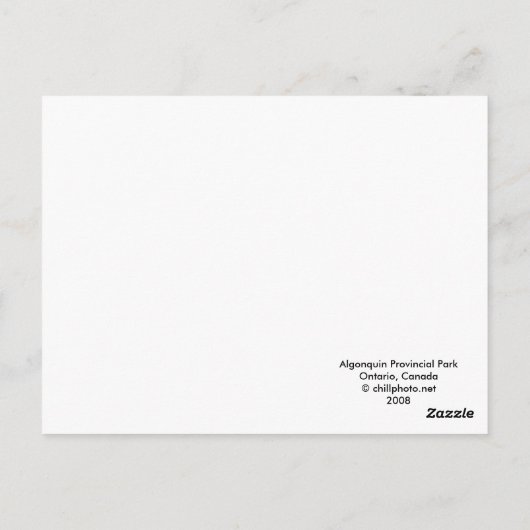 Algonquin Fall Morning Postkarte (Rückseite)