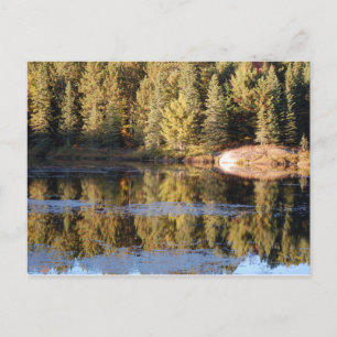 Algonquin Landscape Postcard Postkarte