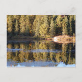 Algonquin Landscape Postcard Postkarte (Vorderseite)