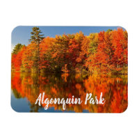 Algonquin Park Canada Stylierung