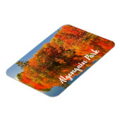 Algonquin Park Canada Stylierung Magnet (Linke Seite)