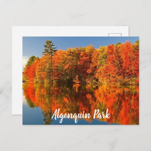 Algonquin Park Canada Stylierung Postkarte (Vorne/Hinten)