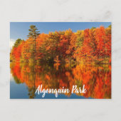 Algonquin Park Canada Stylierung Postkarte (Vorderseite)