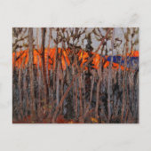 Algonquin Park Postkarte (Vorderseite)