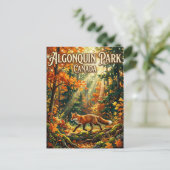 Algonquin Provincial Park Canada Postkarte (Stehend Vorderseite)