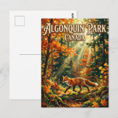 Algonquin Provincial Park Canada Postkarte (Vorne/Hinten)