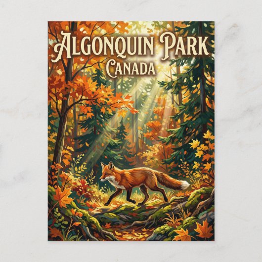 Algonquin Provincial Park Canada Postkarte (Vorderseite)