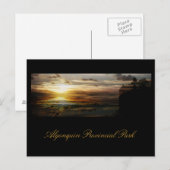 Algonquin-Sonnenuntergang Postkarte (Vorne/Hinten)