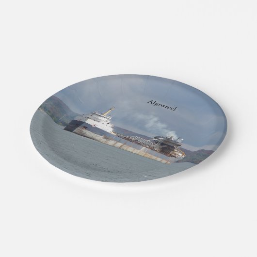 Algostahlblech Pappteller (Schrägansicht)