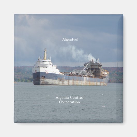 Algosteel-Magnet Magnet (Vorne)