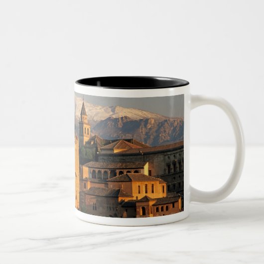 Alhambra; Granada; Andaslusia, Spanien, Sierra Zweifarbige Tasse (Rechts)