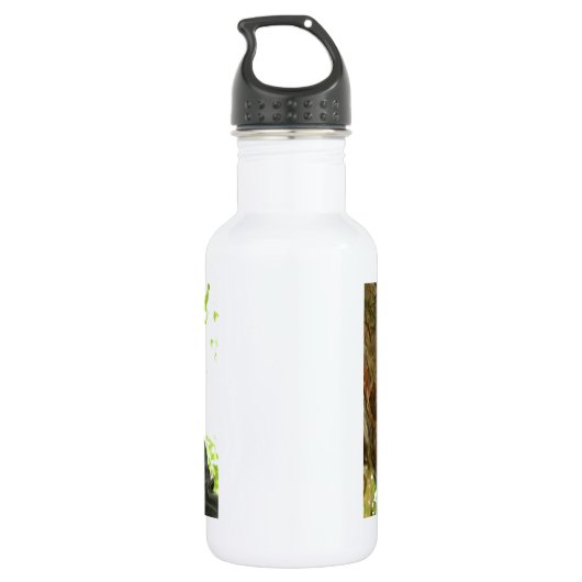 Ali-Bilder Edelstahlflasche (Rückseite)