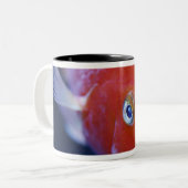 Alias der Blut-Papagei oder der blutige Papagei Zweifarbige Tasse (Vorderseite Links)