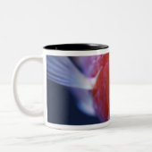 Alias der Blut-Papagei oder der blutige Papagei Zweifarbige Tasse (Links)