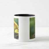 alias goldener Pfeil-Frosch; Endemic zu Tasse (Zentrum)