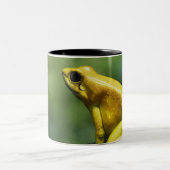 alias goldener Pfeil-Frosch; Endemic zu Zweifarbige Tasse (Mittel)