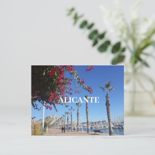 Alicante Postkarte (Stehend Vorderseite)