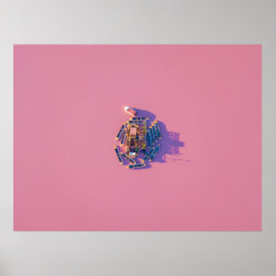 ALICANTES PINK UND GRÜNE SALZSEEN POSTER
