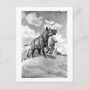 Alice B. Woodward: Hyracodon art poscard Postkarte