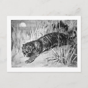 Alice B. Woodward: Machaerodus Art Pocket Postkarte