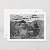 Alice B. Woodward: Plesiosaurier Kunst Postkarte (Vorne/Hinten)