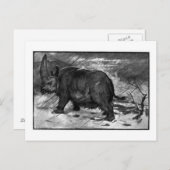 Alice B. Woodward: Postkarte (Vorne/Hinten)